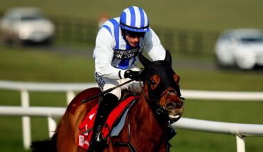 Busy day for Mullins at Galway - Horse Racing