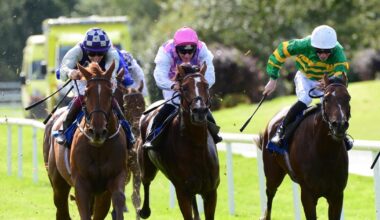 Comfort Zone favourite for opening day feature at Galway Races