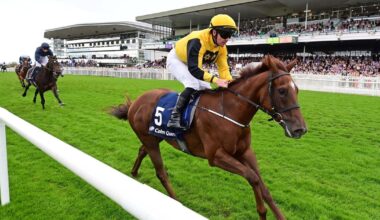 Pivotal Attack has Murphy dreaming big again 