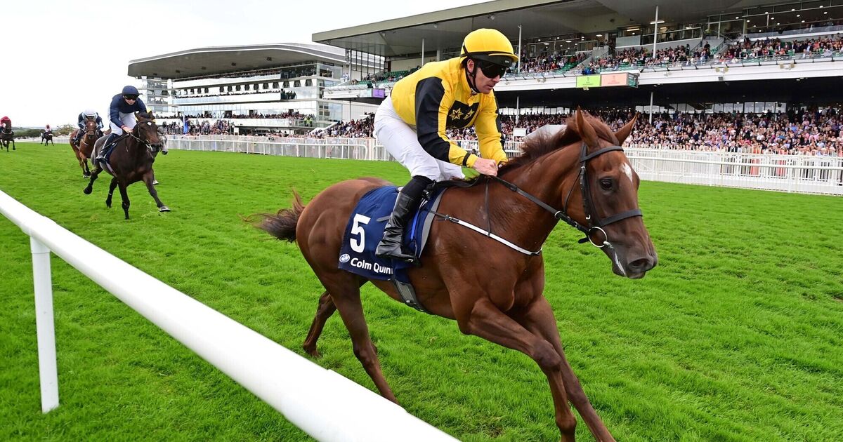 Pivotal Attack has Murphy dreaming big again 