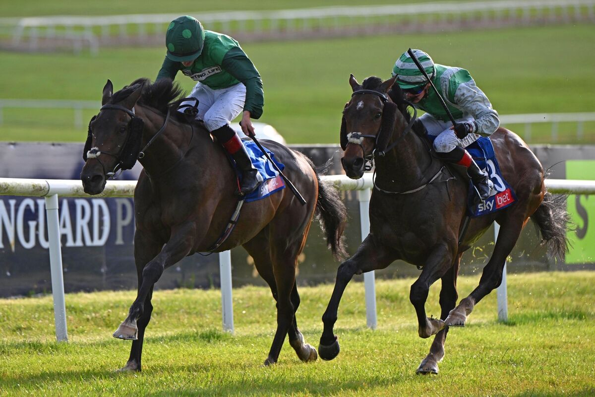 Mr Percy (left) will be worth keeping an eye on. File picture: Healy Racing