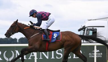 Ndaawi can go one place better in Galway Hurdle