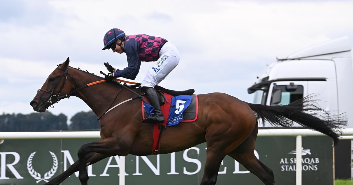 Ndaawi can go one place better in Galway Hurdle