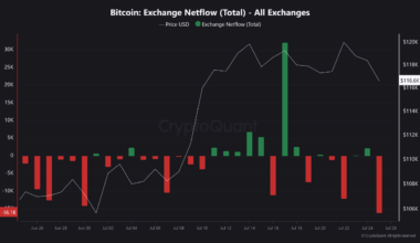 Bitcoin exchange netflow.