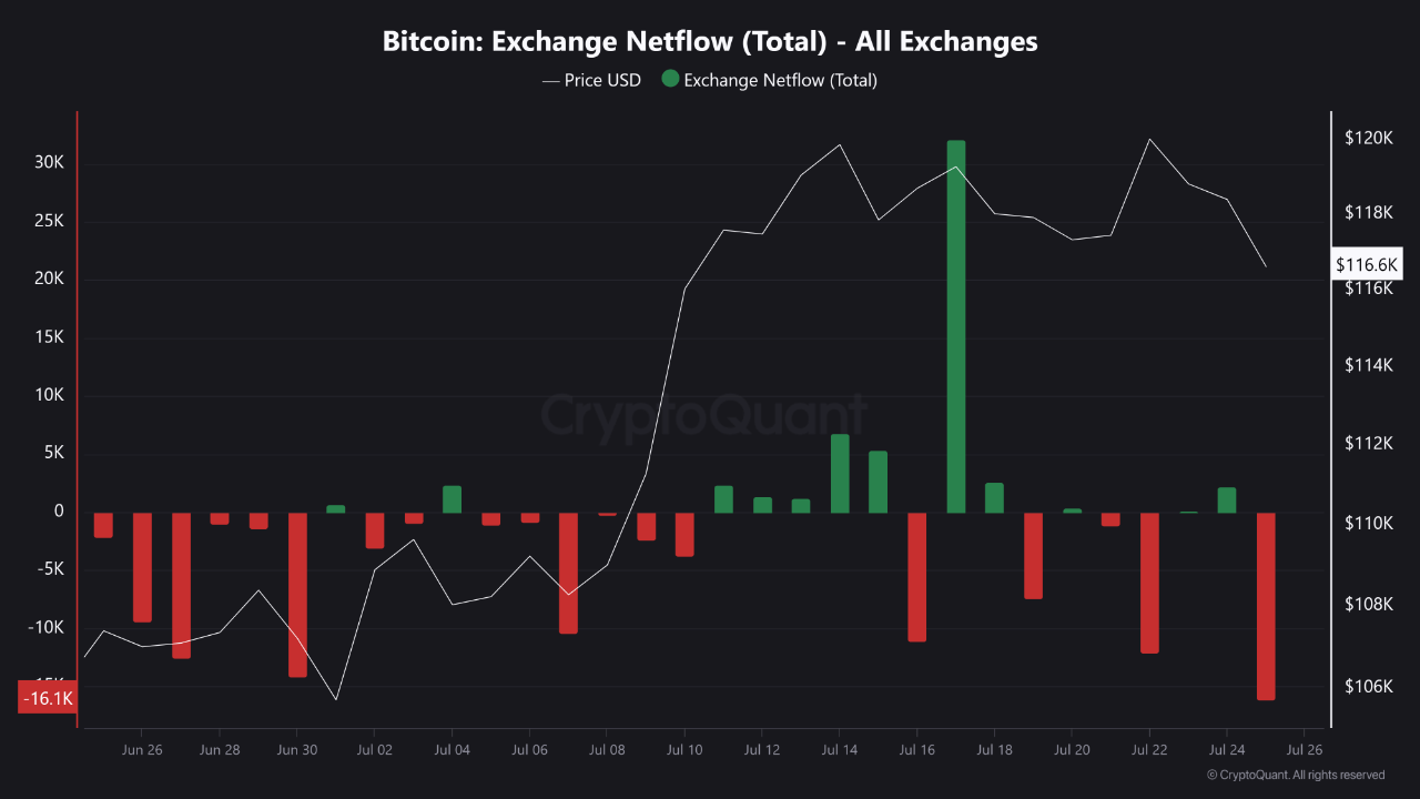 Bitcoin exchange netflow.