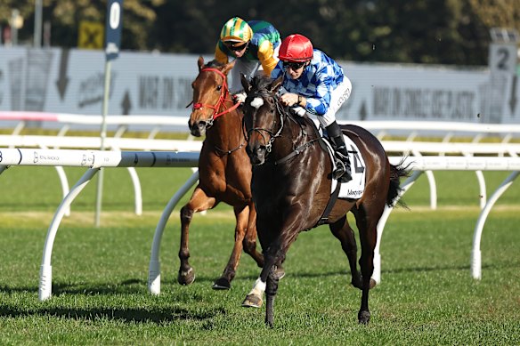 Oh Diamond Lil wins on Saturday.