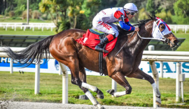 Girona Fever Back in Argentina, Set to Visit Il Campione