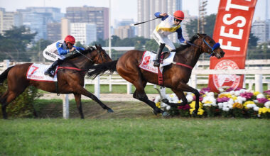 There are 11 horses registered as supplementary entries for the Gran Premio Latinoamericano