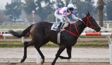 La Plata Gears Up for the Guineas and Triple Crown Kickoff