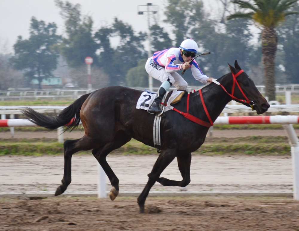 La Plata Gears Up for the Guineas and Triple Crown Kickoff