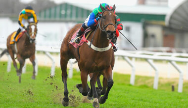 Elvitas Battles Every Step to Achieve a Dream Victory