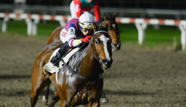 Bayonne Impresses in Confident Victory, Suggesting Bigger Things Ahead