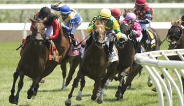 INSIDE THE NUMBERS: How to Best Bet the Pick 3 for Stakes Races at Del Mar on Saturday with Ed DeRosa