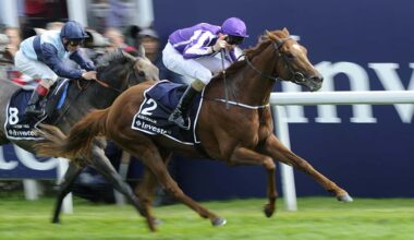 Sexton Files: Successful June shines light on bargain Australia