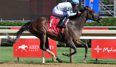 Florida-bred All Class Back in Winner’s Circle With Conclusive Saratoga Allowance Score