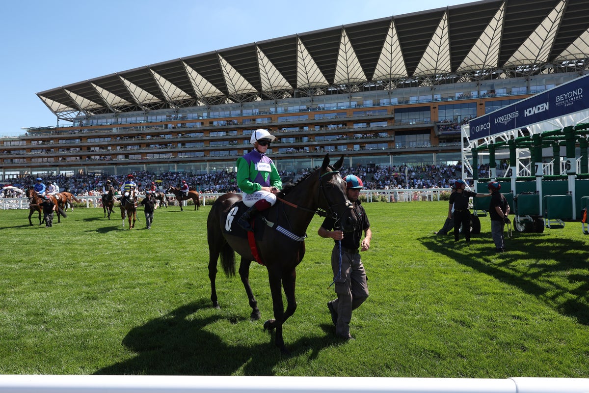 Friday’s Racing Tips: Preview, Odds & Best Bets for Ascot, York, Thirsk & Sandown Park