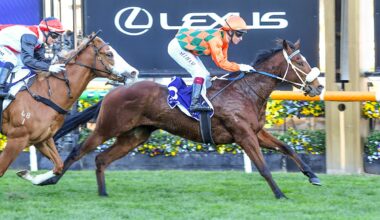 Popes praying for another victory waltz in the Bletchingly