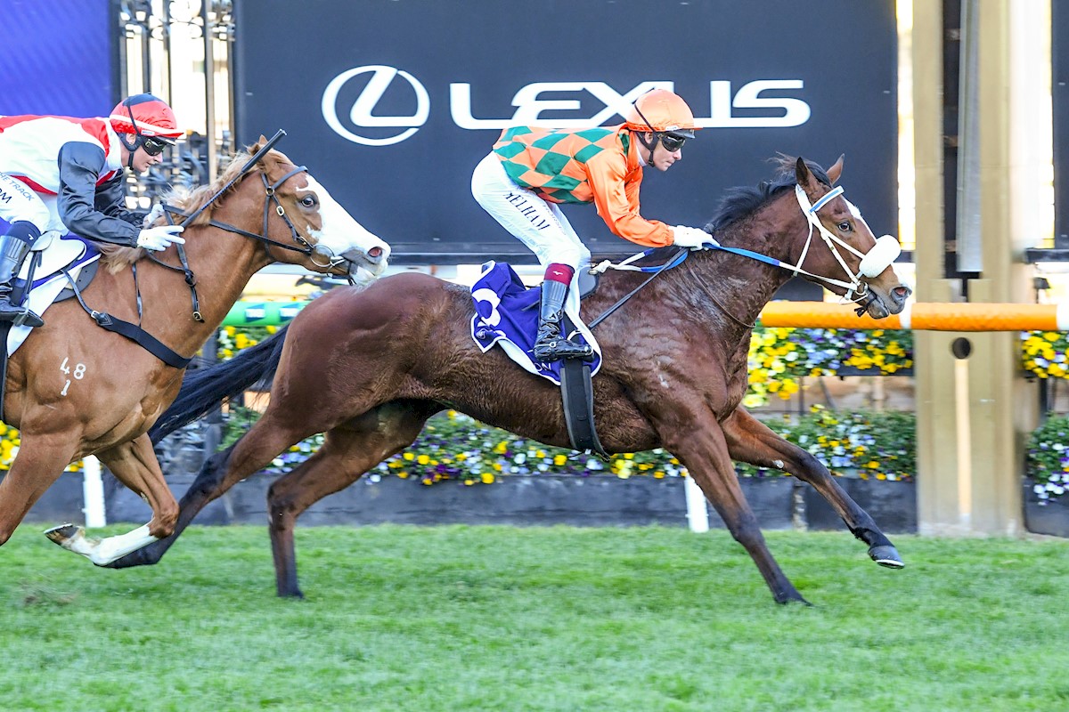 Popes praying for another victory waltz in the Bletchingly