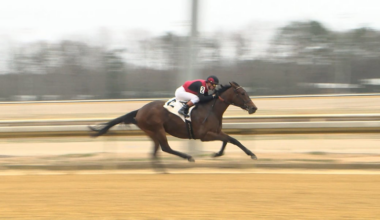 Jockey hospitalized after thrown from horse at Colonial Downs