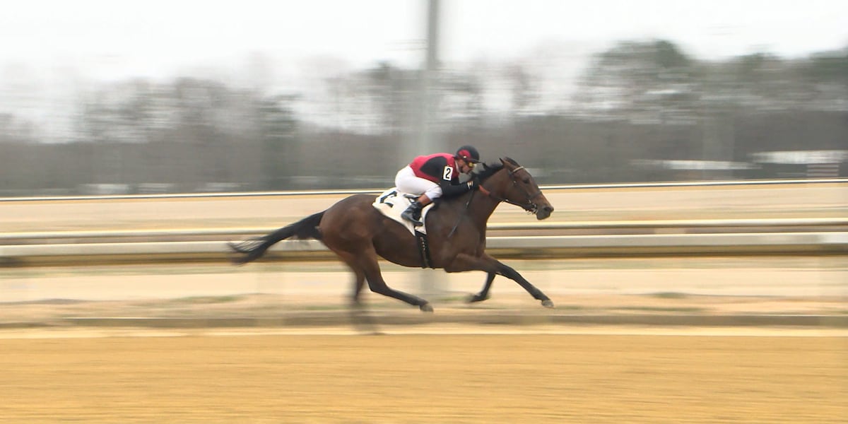 Jockey hospitalized after thrown from horse at Colonial Downs