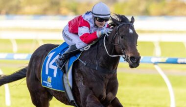 From zero bids to black-type: Cicala out to make history for obscure sire in Lightning Stakes