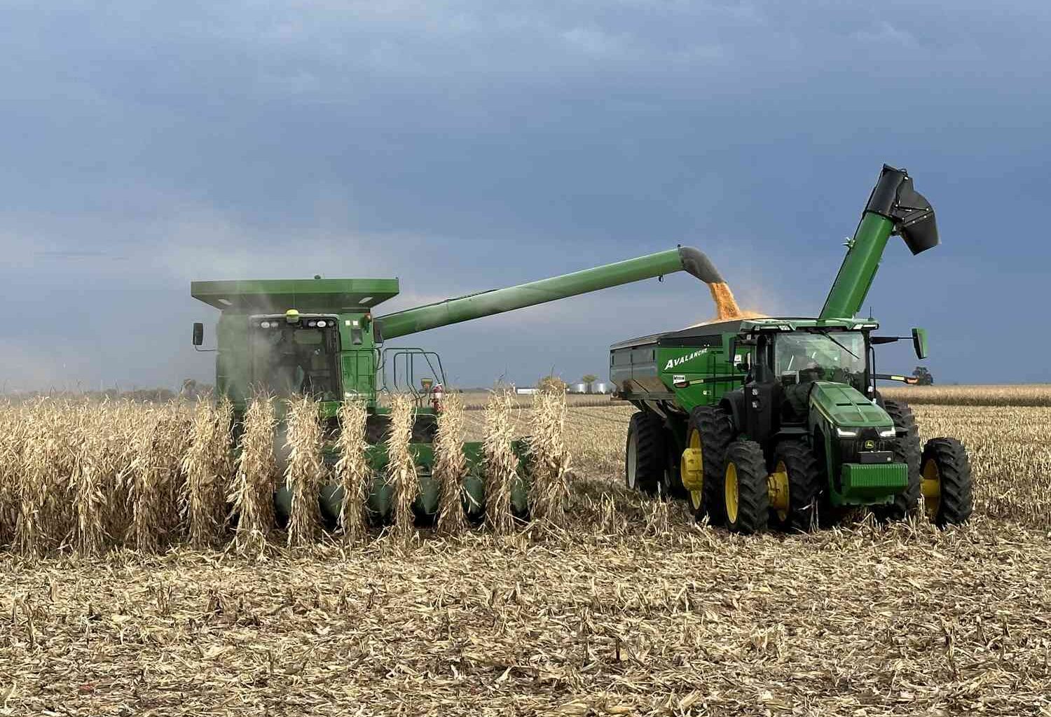 The Corn Market Works to Explain Itself