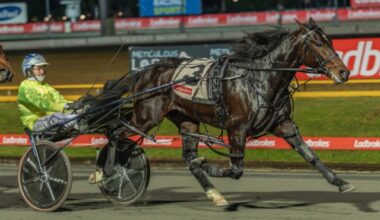 'Singo' locks in exciting three-year-old for TAB Eureka tilt