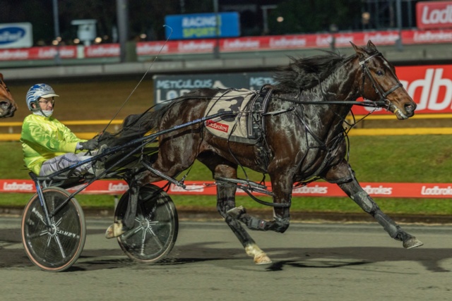 'Singo' locks in exciting three-year-old for TAB Eureka tilt