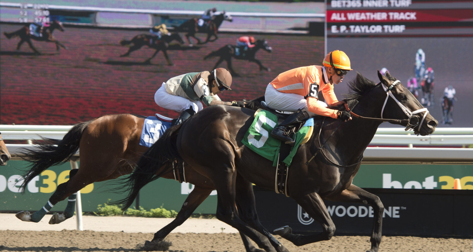 Formidable John Ross duo set for Pink Lloyd Stakes test