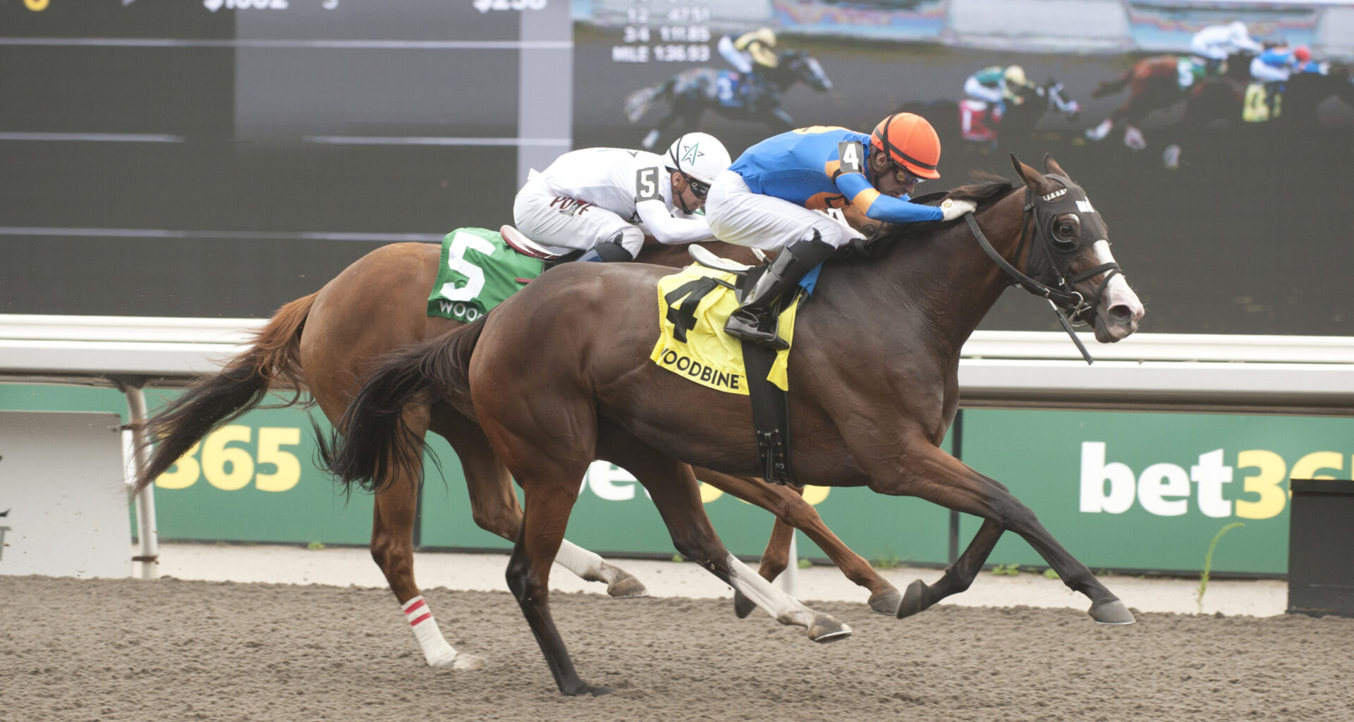 A determined Literate takes Grade 3 Trillium top prize