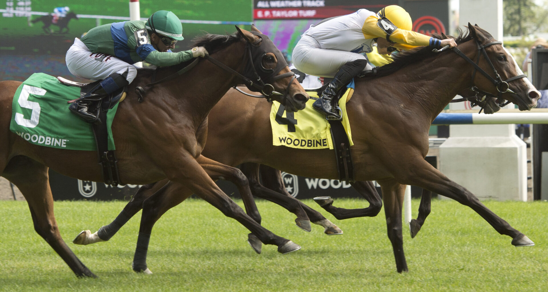 Ready for Shirl shines in Canadian Stakes (G2T)