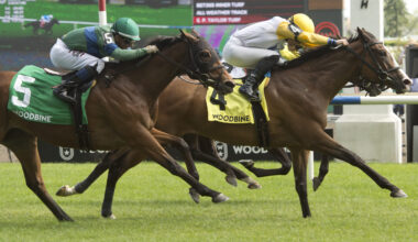 Ready for Shirl shines in Canadian Stakes (G2T)