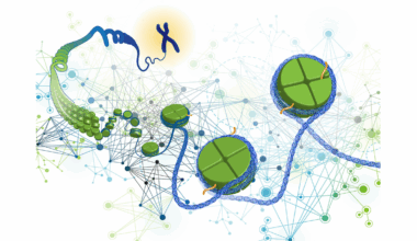 Scientists answer a 20-year-old question in epigenetics