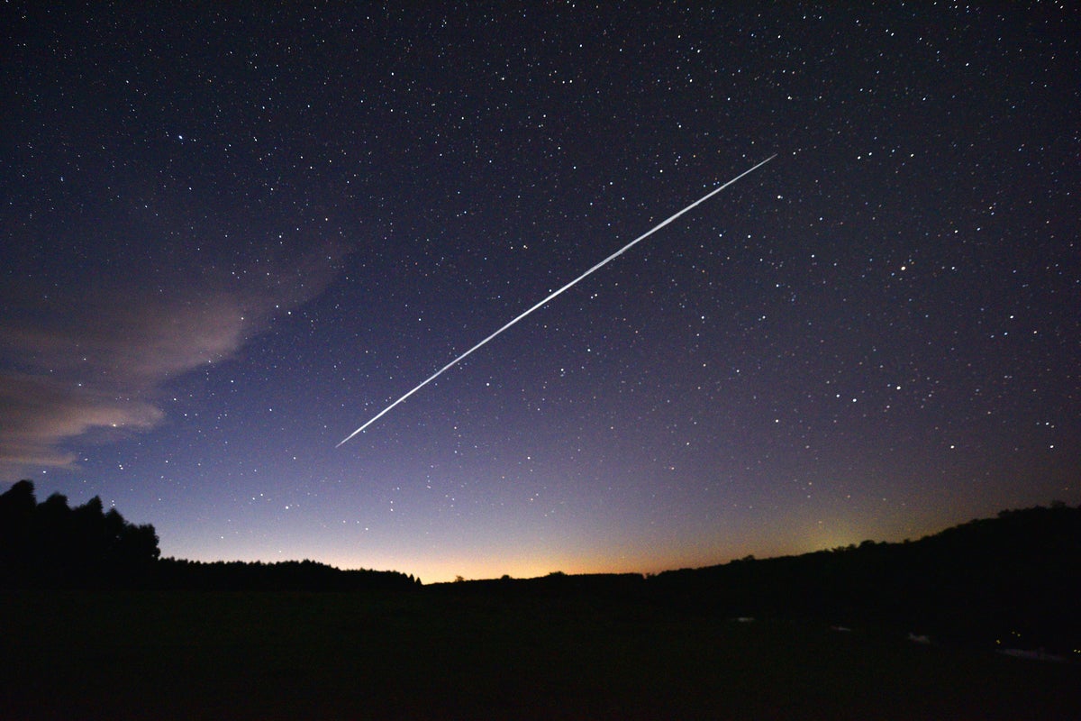 Ontario cancels its internet contract with Elon Musk’s Starlink