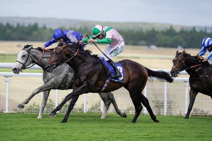 Rome set to rise again and conquer Chesterfield Cup