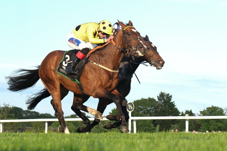 Rhyme to hit right Royal tune and deny return of the Maq