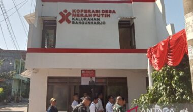 Ministry prepares Internet services, training for co-ops