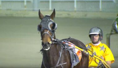  Second City Double For Lynn