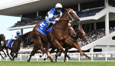 ‘It's happened a number of times now’ – Inglis Digital sells another seven-figure lot as Yulong purchase Group 1 scorer Velocious