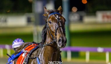 Lusaka Loves To Lead - Gloucester Park Harness Racing