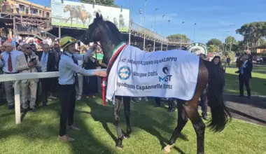 Racing around the World: Italian renaissance