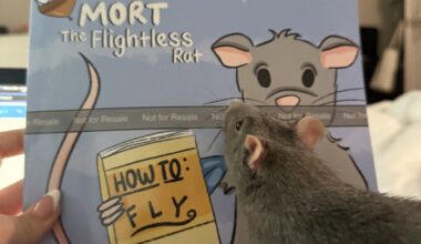 “Mort the Flightless Rat” – East Lansing Info