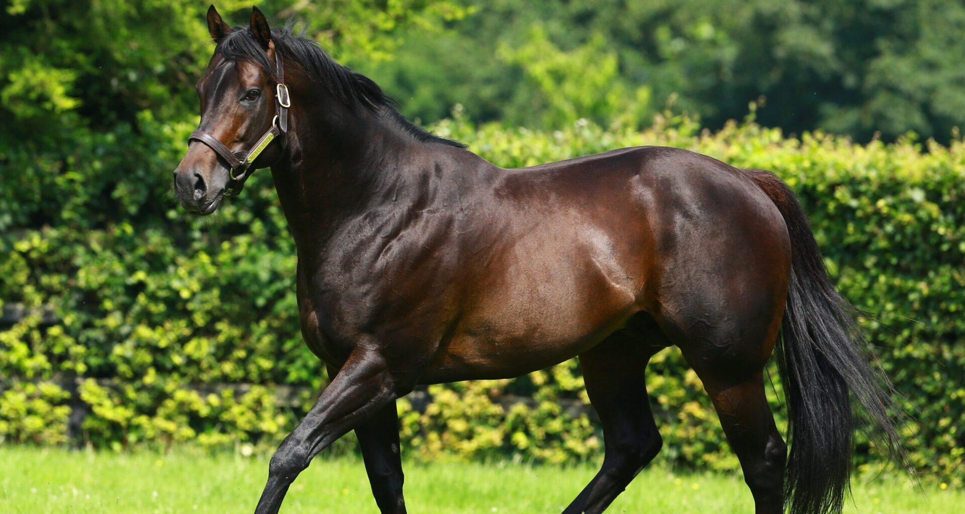 Dr Statz: Speed is of the essence