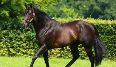 Dr Statz: Speed is of the essence