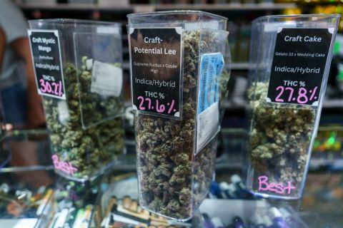 Michigan marijuana market cratering, amid oversupply, ‘difficult market’