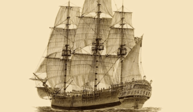 'A novel is a great way to learn genetics': A scene-based look at The Sirens, Middlesex and The Covenant of Water