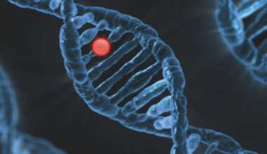 Human intelligence genes linked to cancer