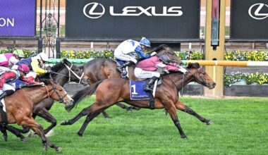 ‘He’s arguably the best-performed two-year-old of the year’