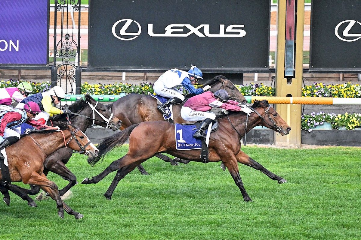 ‘He’s arguably the best-performed two-year-old of the year’