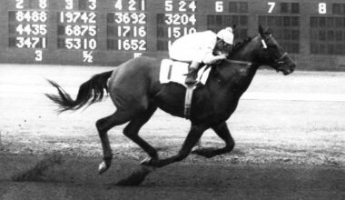 Dominant at Del Mar: Bill Shoemaker’s Greatest Summer